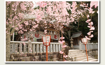 20110421湯泉神社.jpg