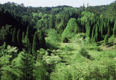 六甲山高山植物園.jpg