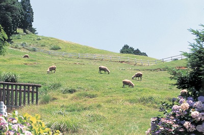 神戸市立六甲山小学校