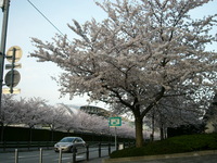 阪神競馬場前8.JPG