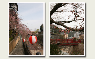 20120410有馬川沿い.jpg