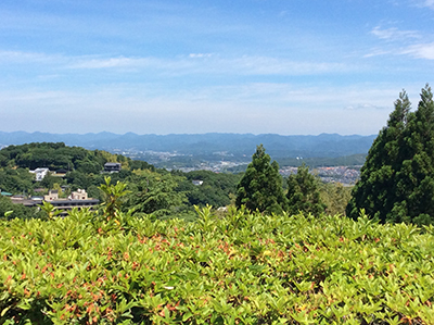 ★松森君-三田方面景色.jpg