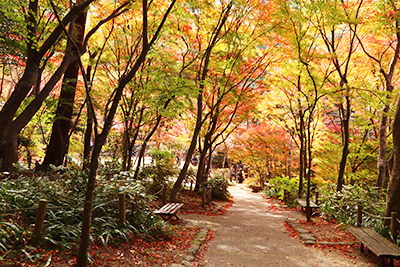 ★瑞宝寺公園51(ブログ用).jpg