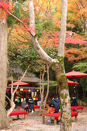 ★瑞宝寺公園52(ブログ用).jpg