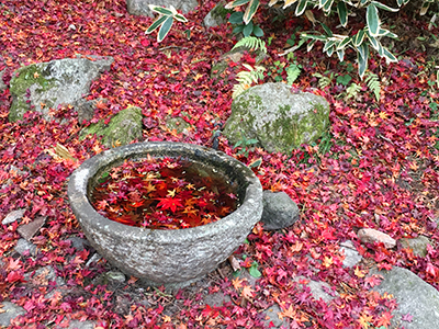 ★瑞宝寺-手水鉢･蹲踞(ブログ用).jpg