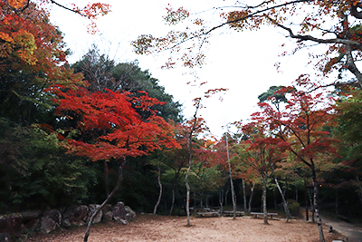 ★瑞宝寺34(ブログ用.jpg