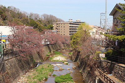 ★0326有馬川(ブログ用).jpg