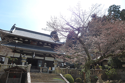 ★0326温泉寺(ブログ用).jpg