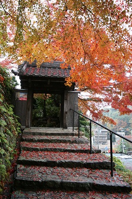 善福寺の石段.jpg