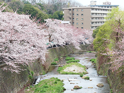 ありま川200331.jpg