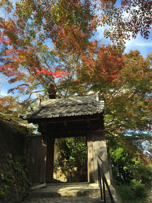 兵衛向陽閣-紅葉だより20151111-4善福寺.jpg