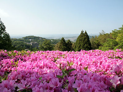 兵衛向陽閣-10F庭園-つつじ1.jpg