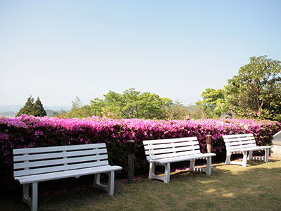 兵衛向陽閣-10F庭園-つつじ2.jpg