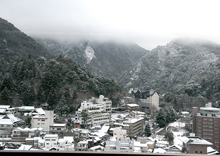 兵衛向陽閣-20180127雪景色4.jpg