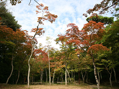 兵衛向陽閣_紅葉だより20171018-1.jpg