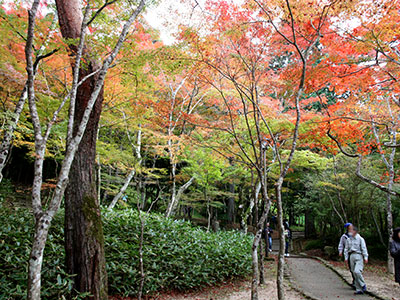 兵衛向陽閣_紅葉だより20171103-3.jpg