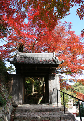 善福寺山門181124.jpg