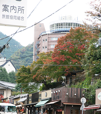 善福寺道路側から20181101.jpg