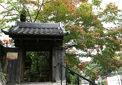 善福寺20181101-2.jpg