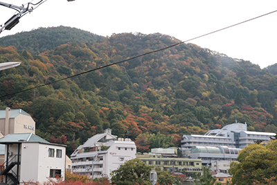 山の紅葉.jpg