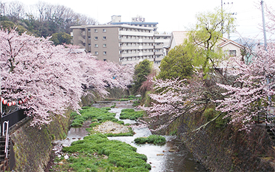 有馬川0409.jpg