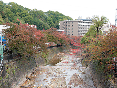 有馬川141101jpg.jpg