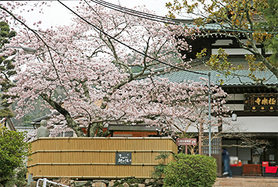 極楽寺.jpg