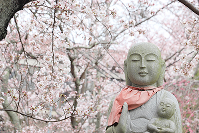 極楽寺1200331.jpg