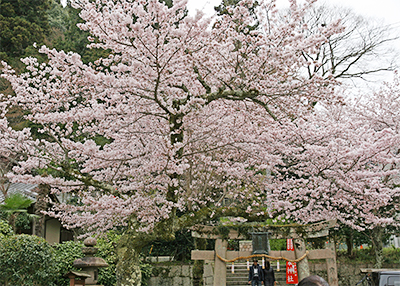 温泉寺.jpg