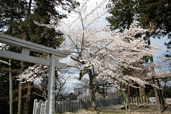 湯泉神社境内.jpg