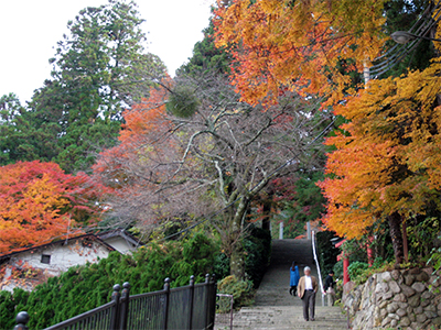 湯泉神社20141123-1.jpg