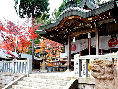 湯泉神社20141123-2.jpg