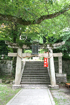 湯泉神社_鳥居.jpg