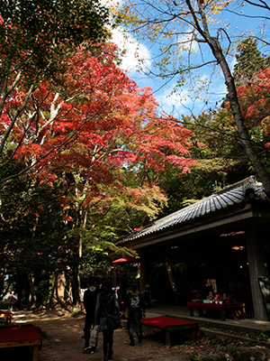 瑞宝寺公園141104-3.jpg