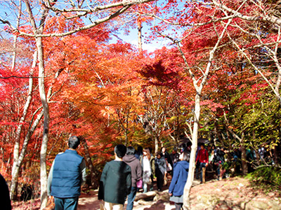 瑞宝寺公園141116-1.jpg