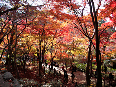 瑞宝寺公園141123-1.jpg