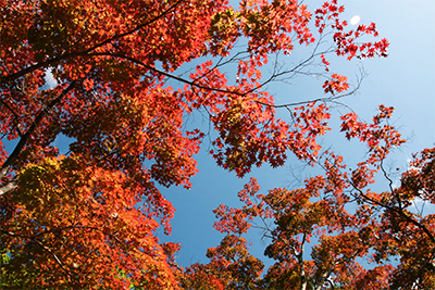 瑞宝寺-120181021.jpg