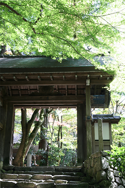 瑞宝寺-420181021.jpg