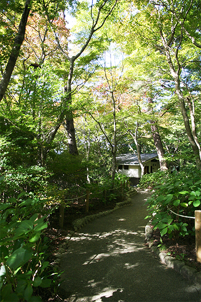 瑞宝寺_通路.jpg