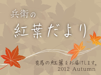 紅葉だより2012.jpg