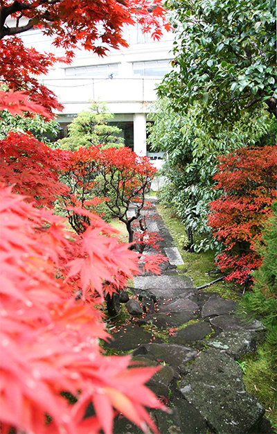 蘭の外庭　両側紅葉.jpg