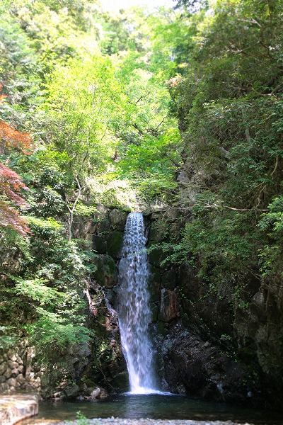 滝川公園