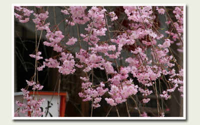 110417湯泉神社２.jpg