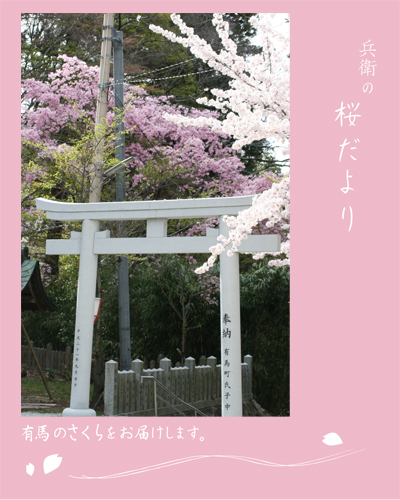 110417湯泉神社.jpg
