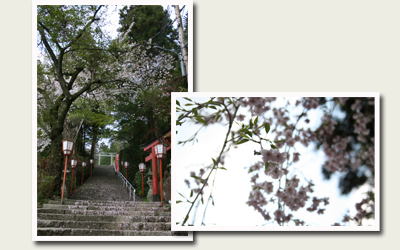 110424湯泉神社.jpg