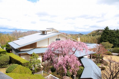 130407-三の湯棟と枝垂桜.jpg