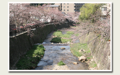 20120412有馬川沿い.jpg