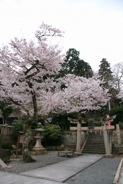 20130403?温泉寺前より.jpg