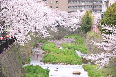 20130403-太閤橋より.jpg