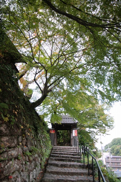 20131030-善福寺.jpg